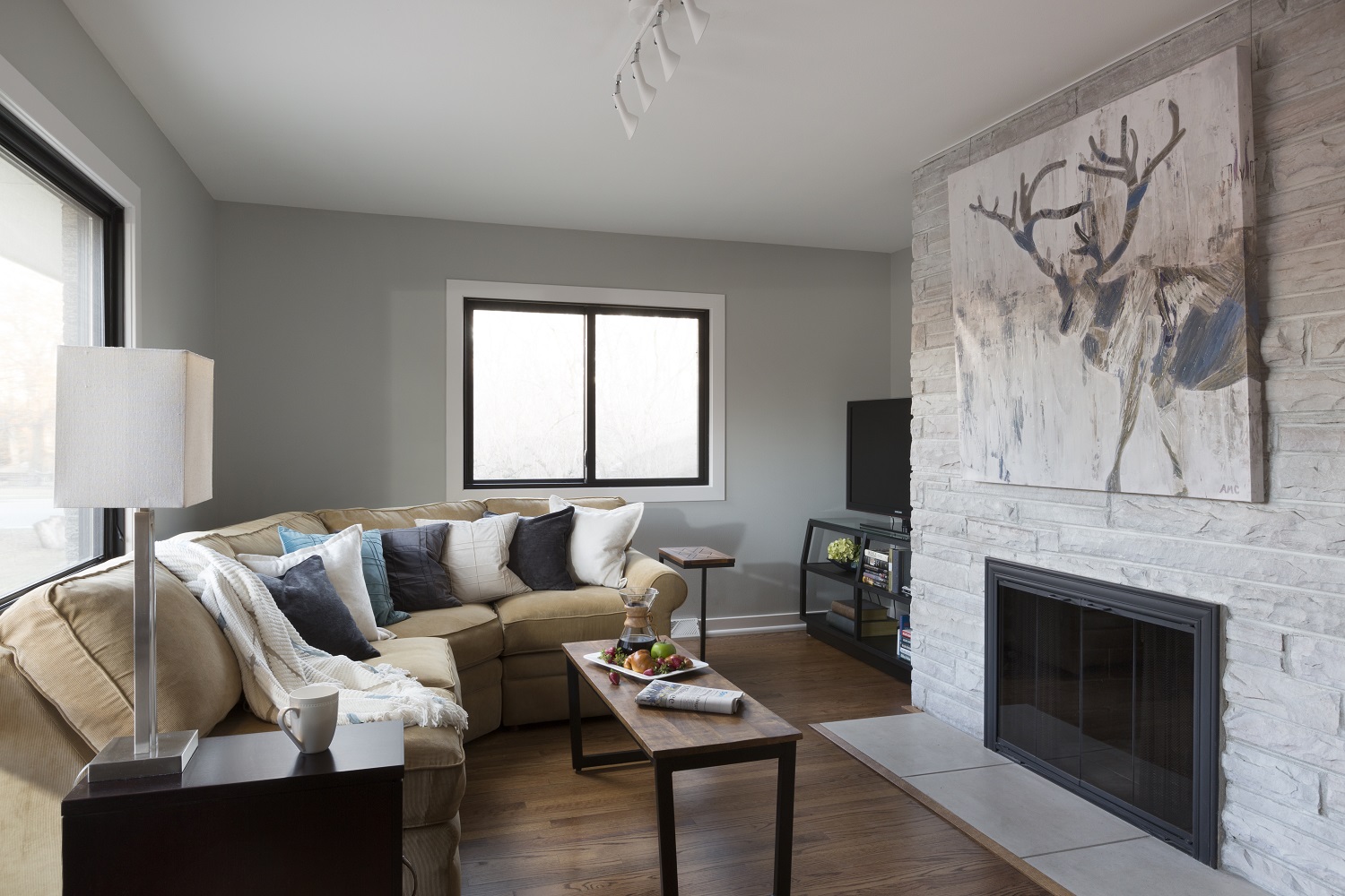 Minimalist Fireplace Design in Milwaukee Home
