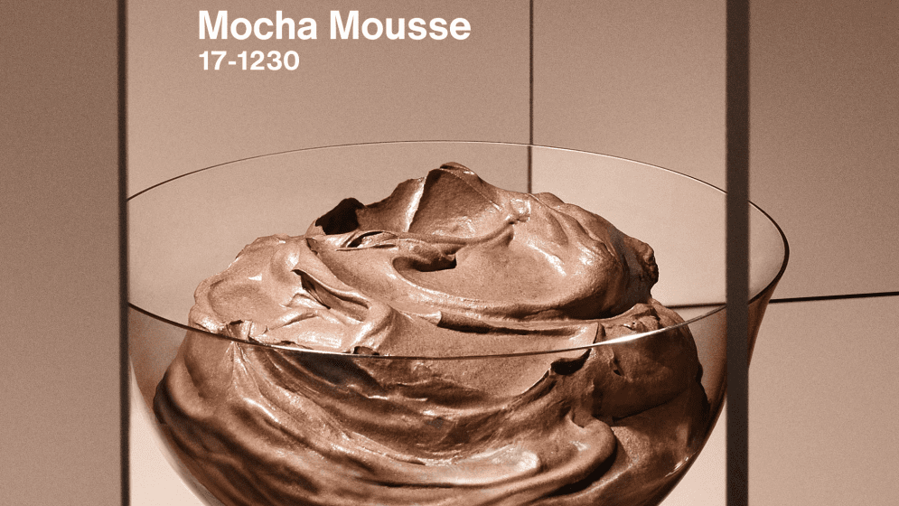 Mocha Mouse Pantone Color of the Year 2025